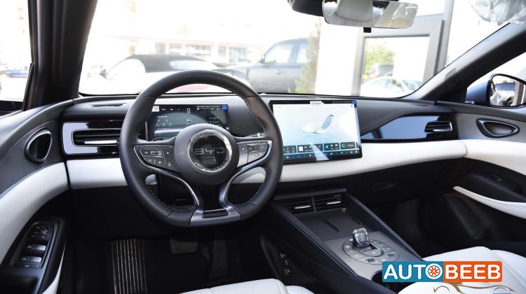 بي واي دي سيل 2025