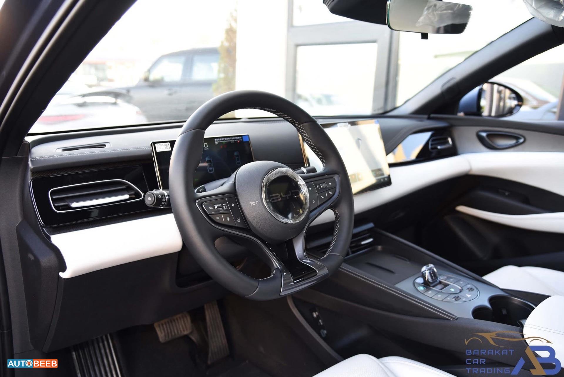 بي واي دي سيل 2025