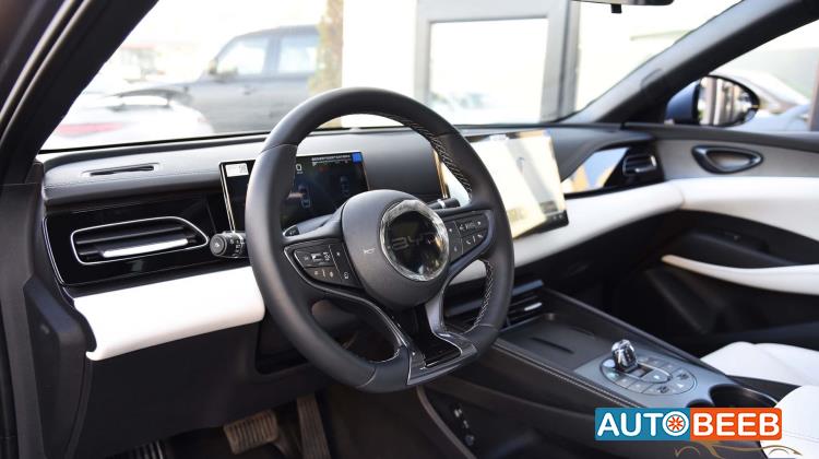 بي واي دي سيل 2025