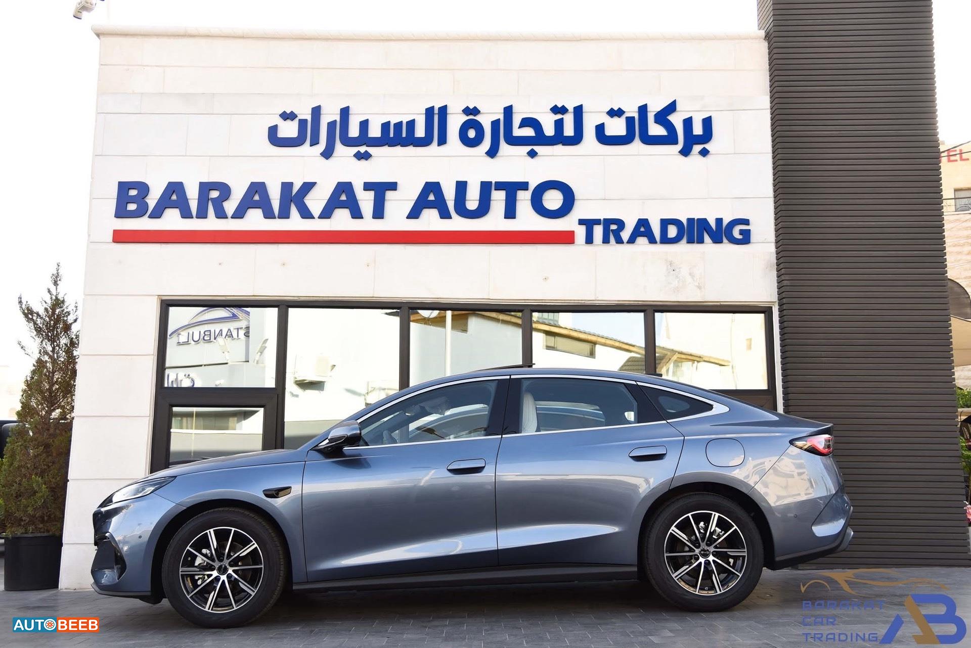 بي واي دي سيل 2025