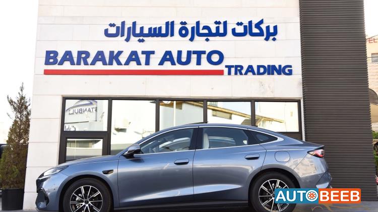 بي واي دي سيل 2025