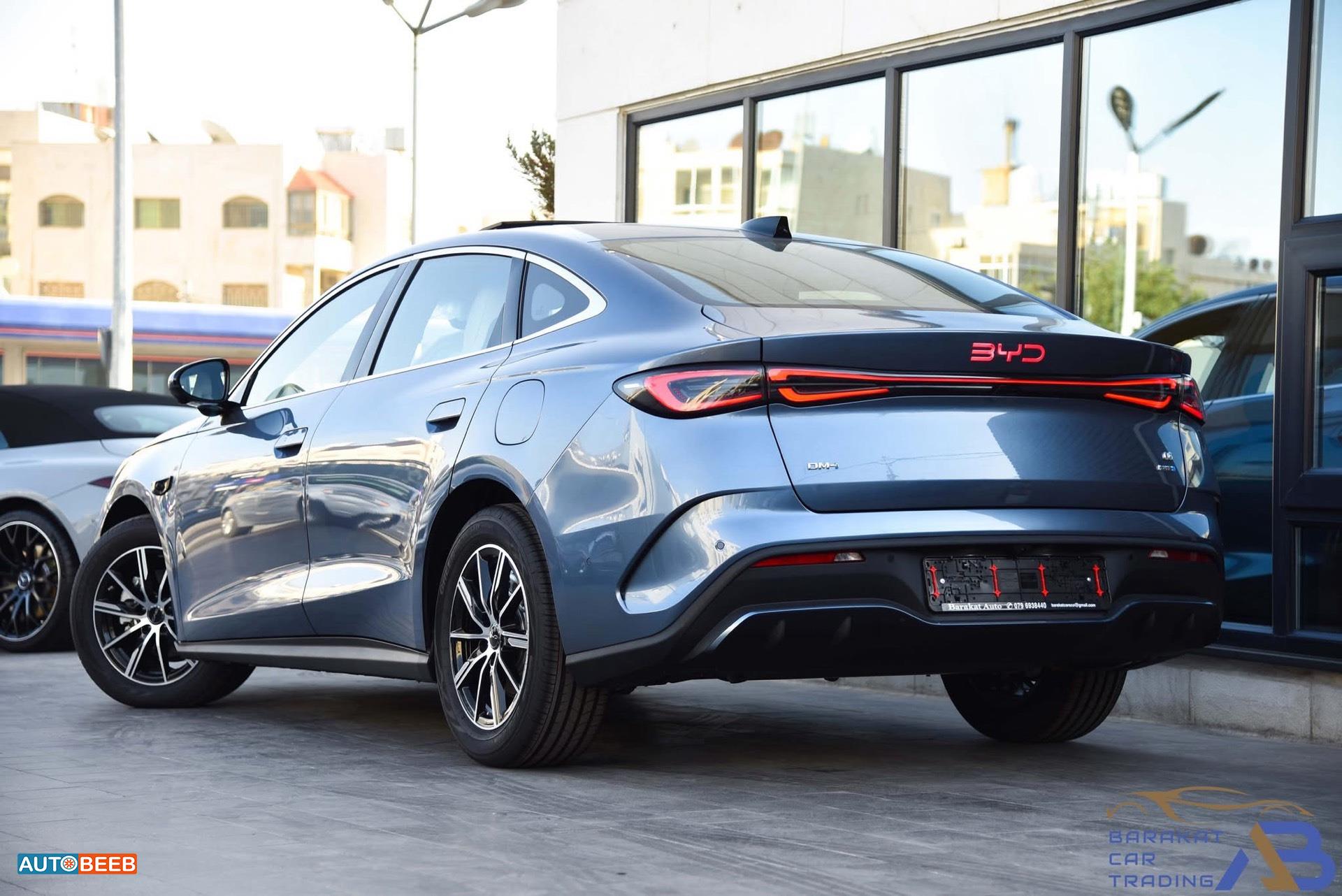 بي واي دي سيل 2025