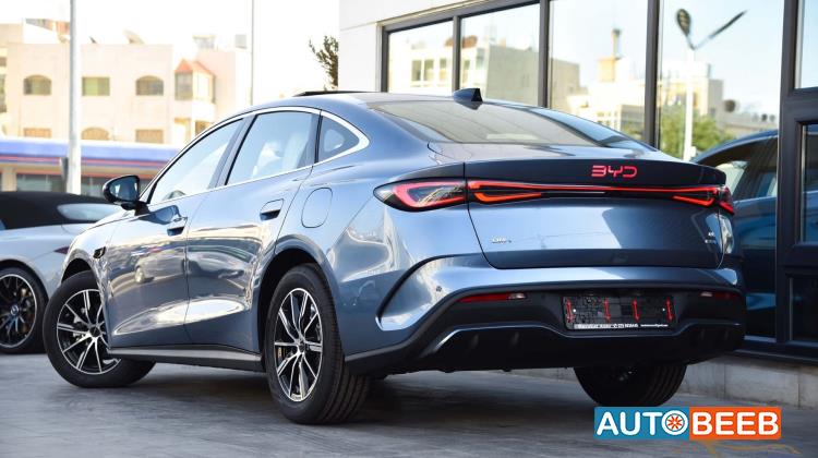 بي واي دي سيل 2025