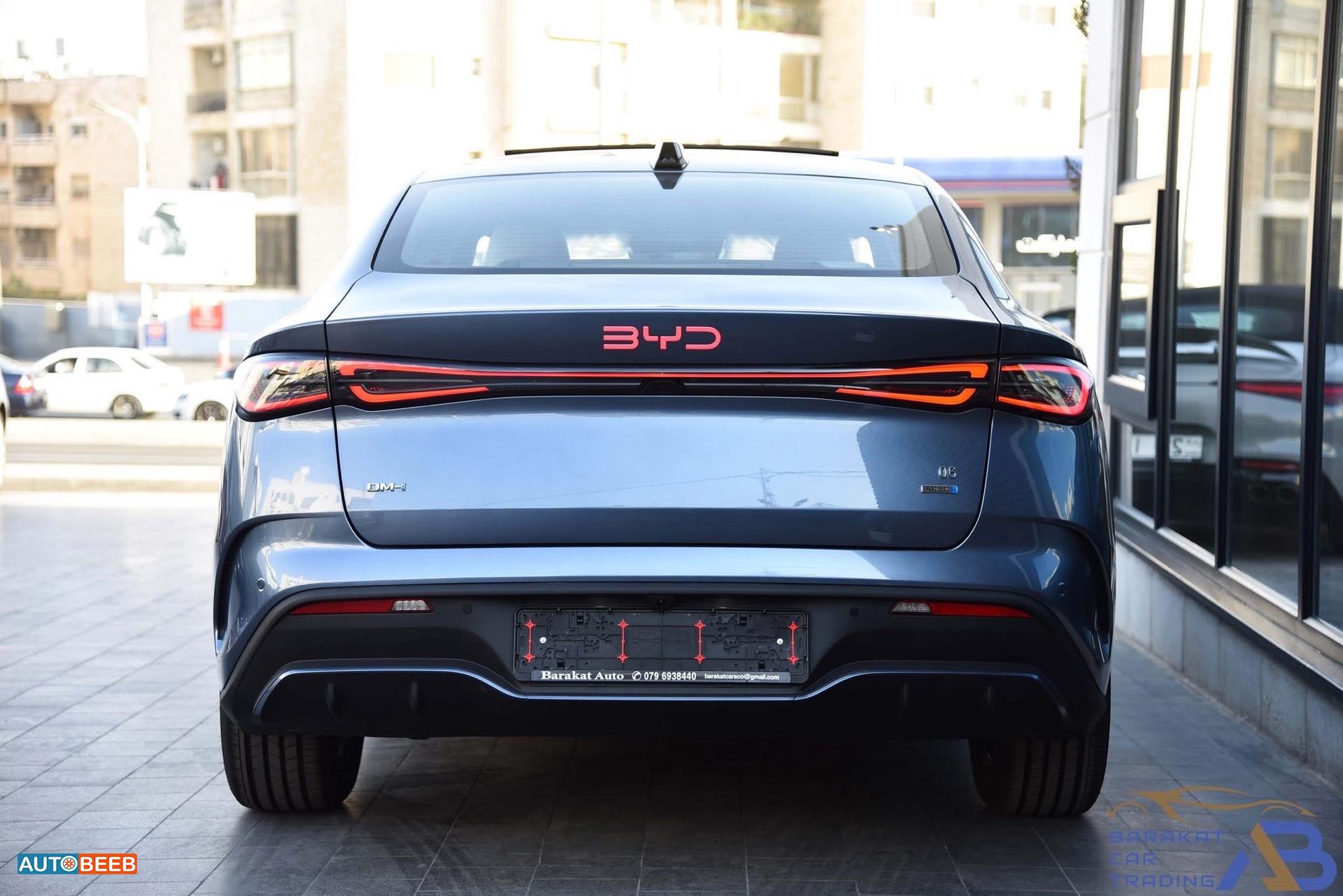 بي واي دي سيل 2025