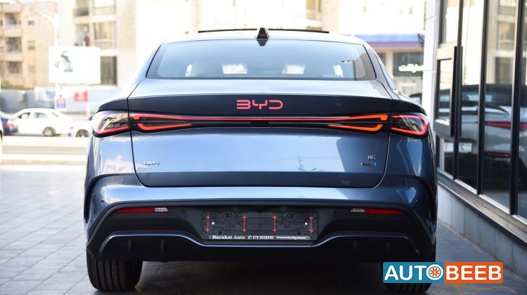 بي واي دي سيل 2025