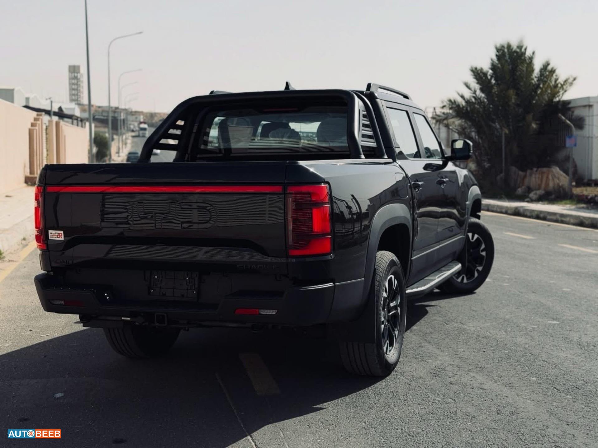 بي واي دي شارك 6 2025