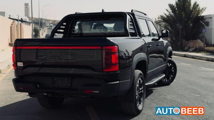 بي واي دي شارك 6 2025