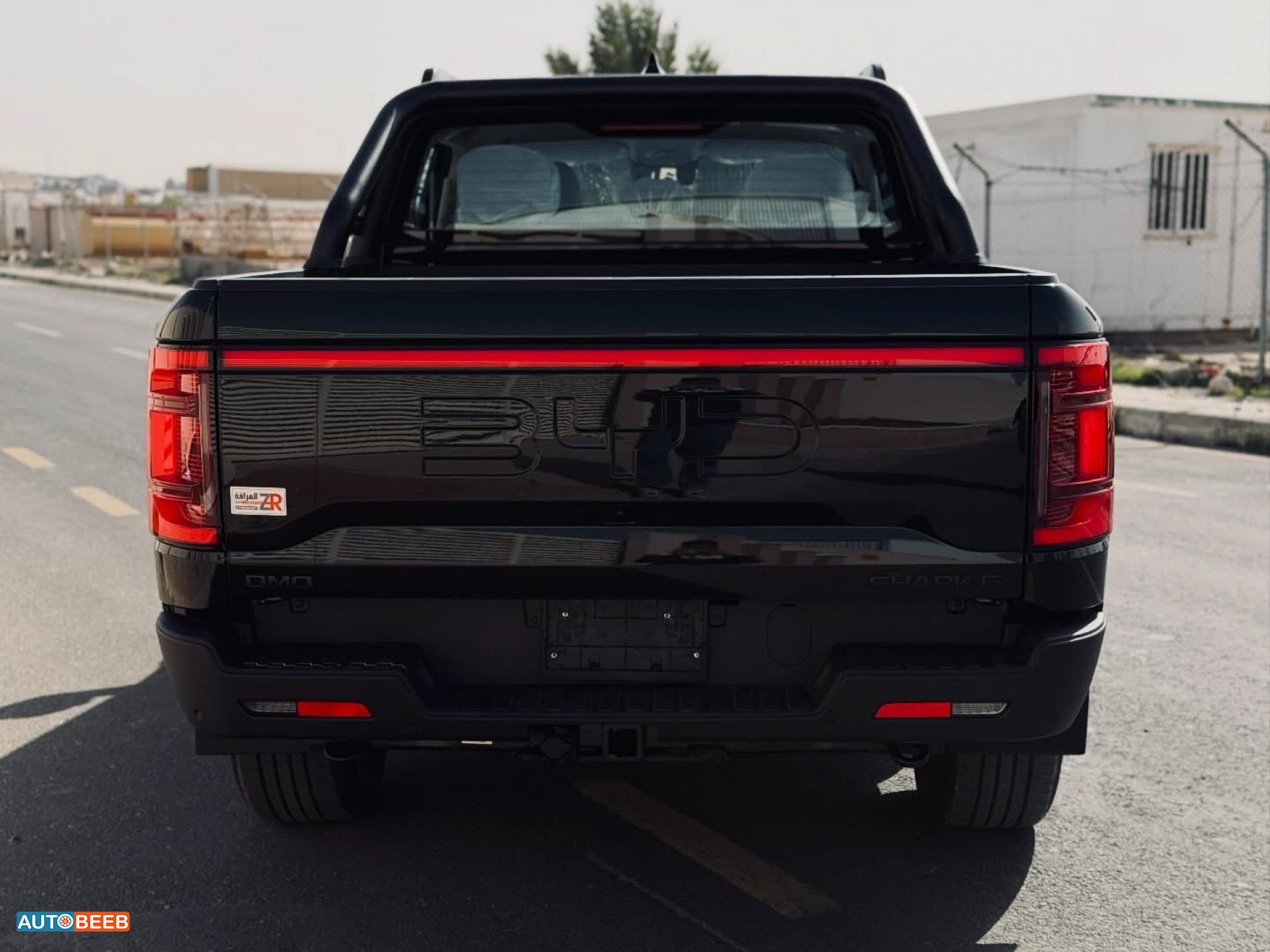 بي واي دي شارك 6 2025