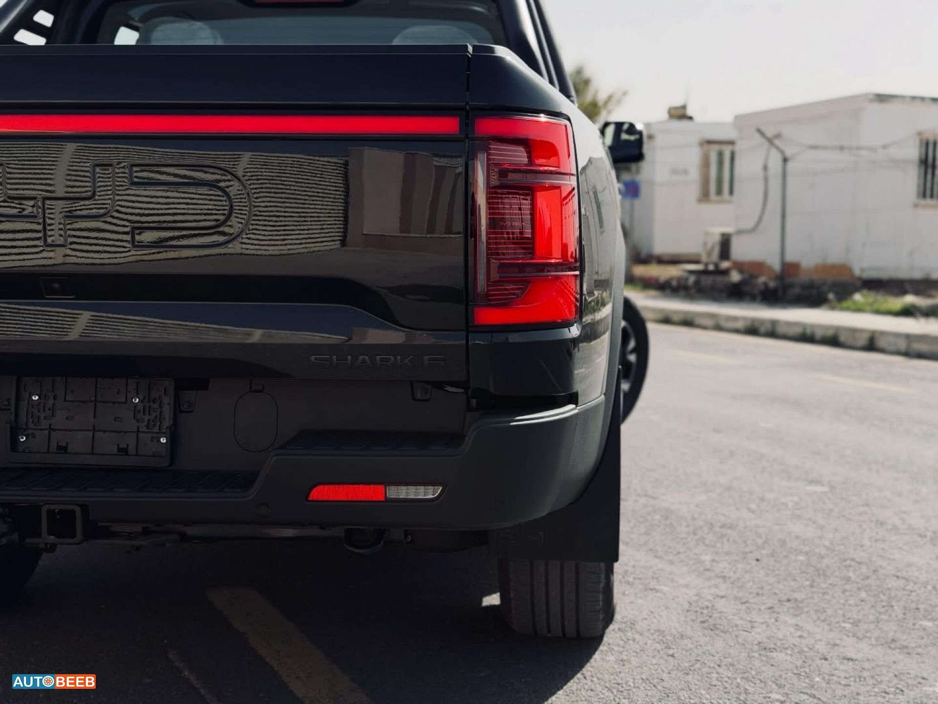 بي واي دي شارك 6 2025