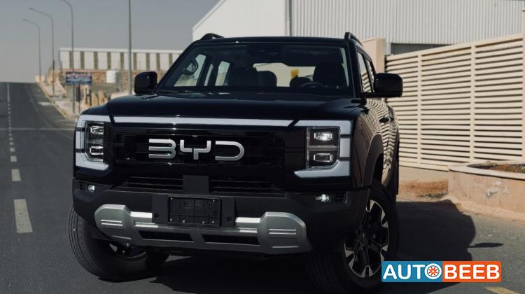 بي واي دي شارك 6 2025