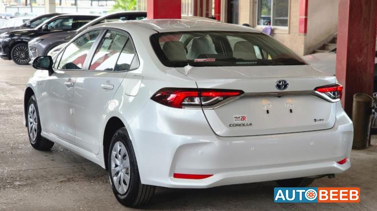 تويوتا كورولا 2025