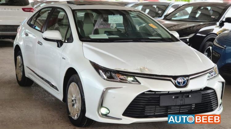 تويوتا كورولا 2025