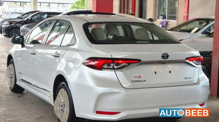 تويوتا كورولا 2025