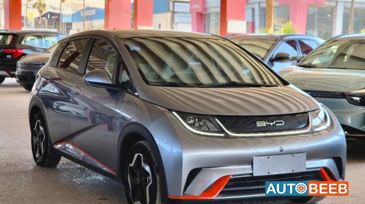 BYD Dolphin 2022