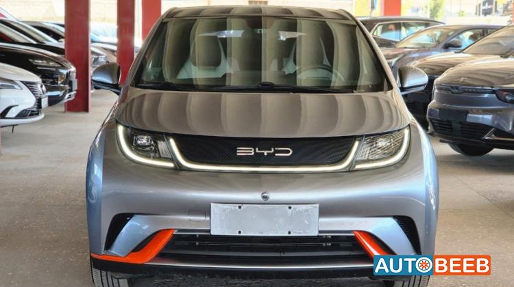 BYD Dolphin 2022