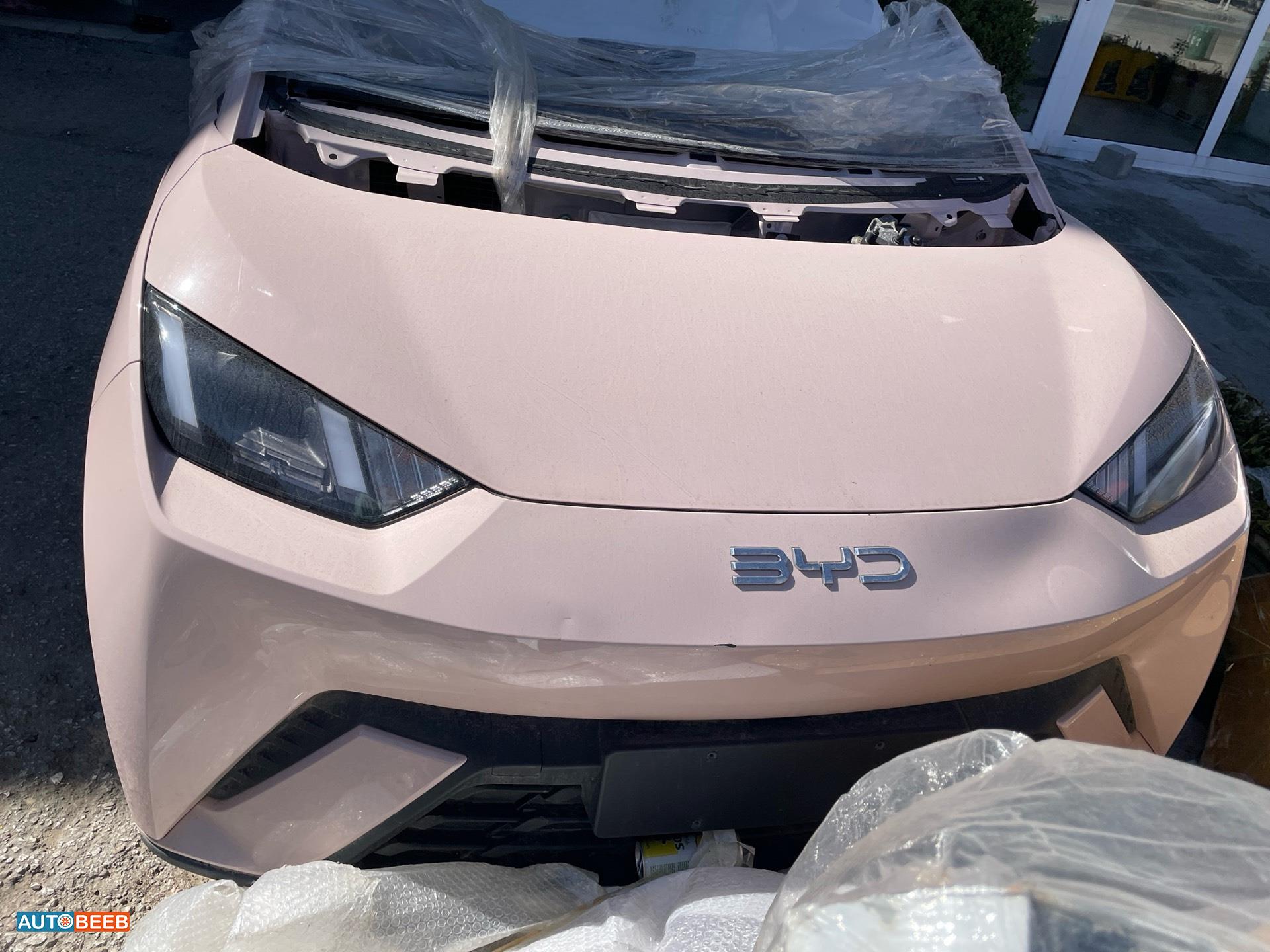 بوز كامل اضوية يمين شمال بي واي دي سيجول 2023 2024