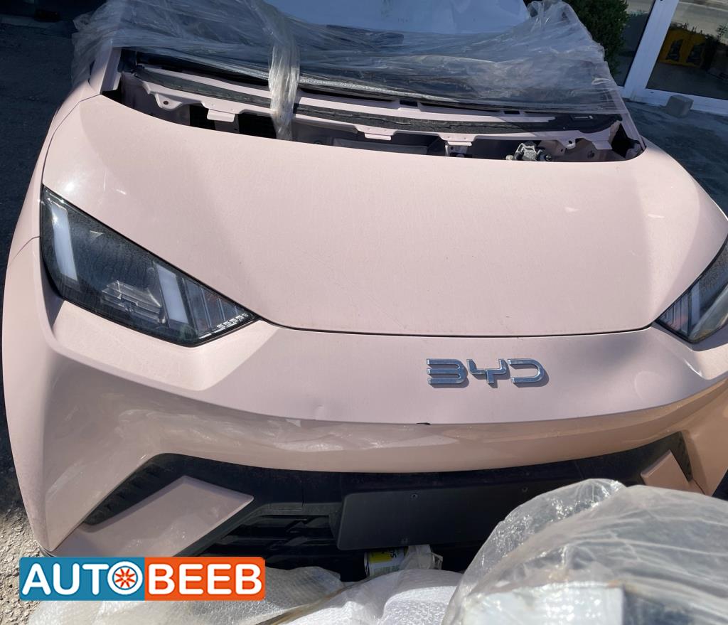 بوز كامل اضوية يمين شمال بي واي دي سيجول 2023 2024