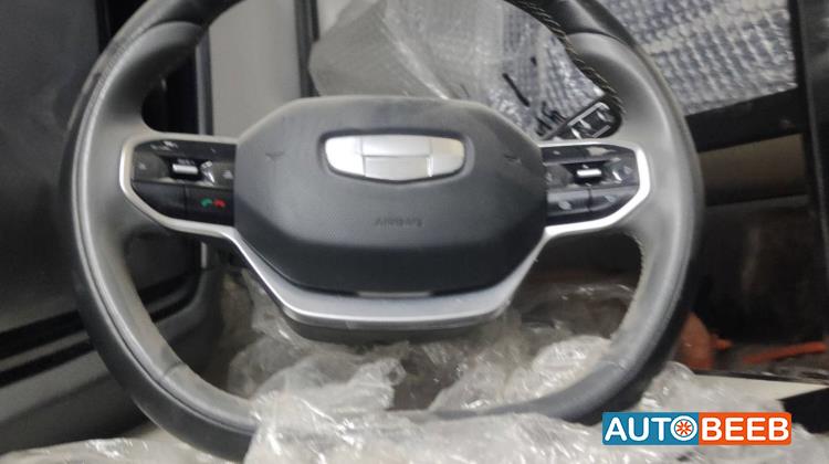 Cabin  Steering Wheel Geely Geometry C