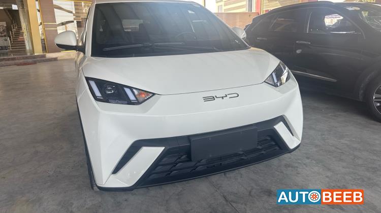 BYD Seagull 2023