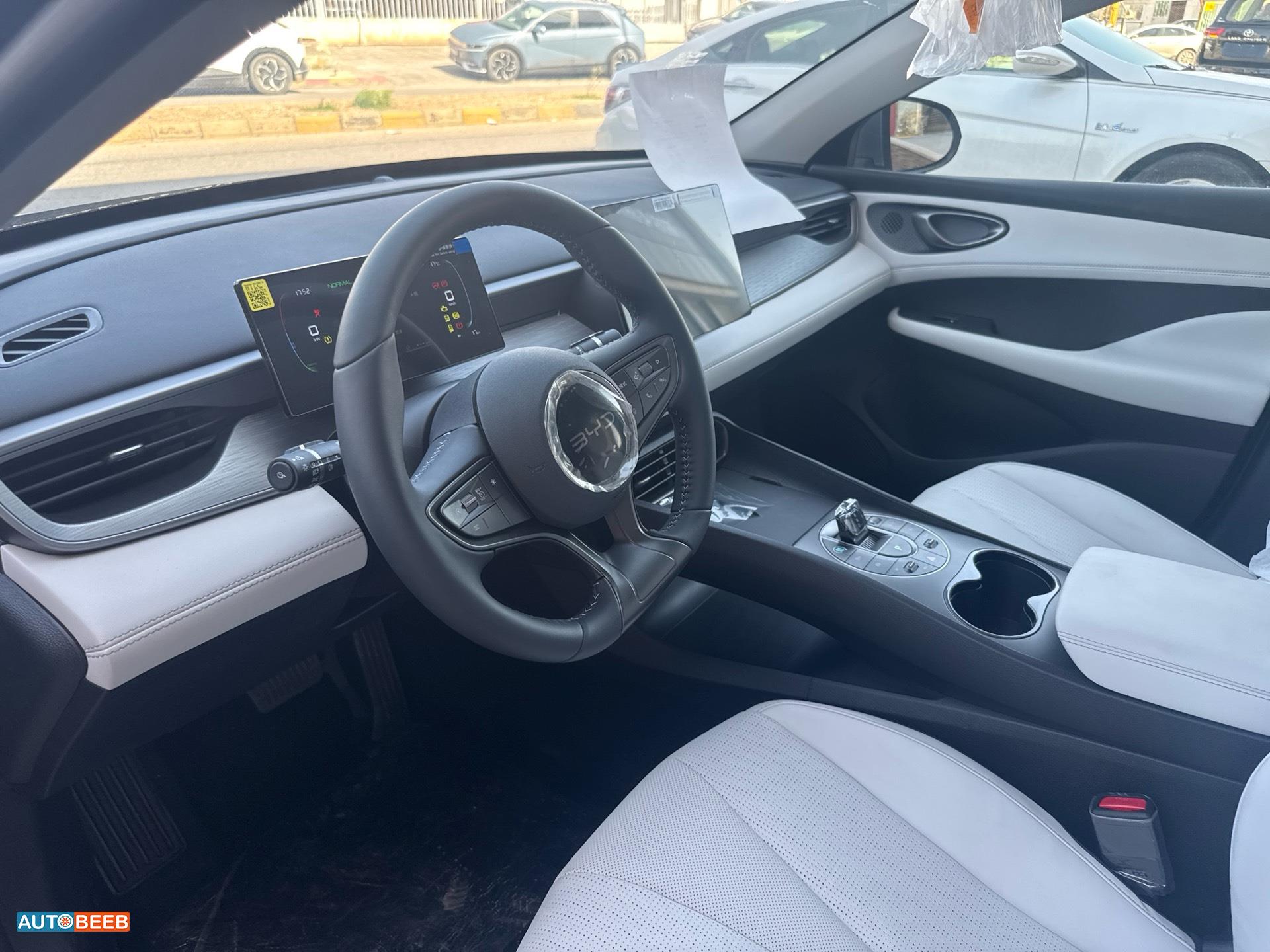 بي واي دي سيل 2025