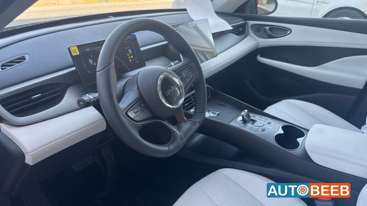 بي واي دي سيل 2025