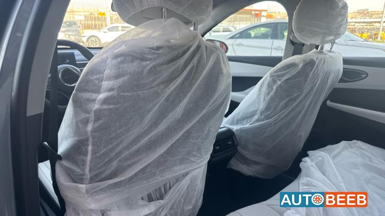 بي واي دي سيل 2025