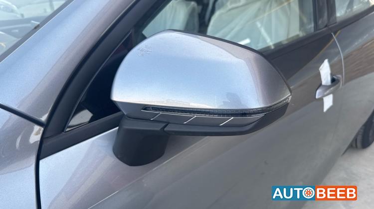 بي واي دي سيل 2025