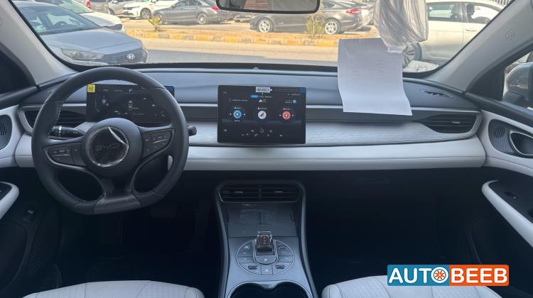 بي واي دي سيل 2025