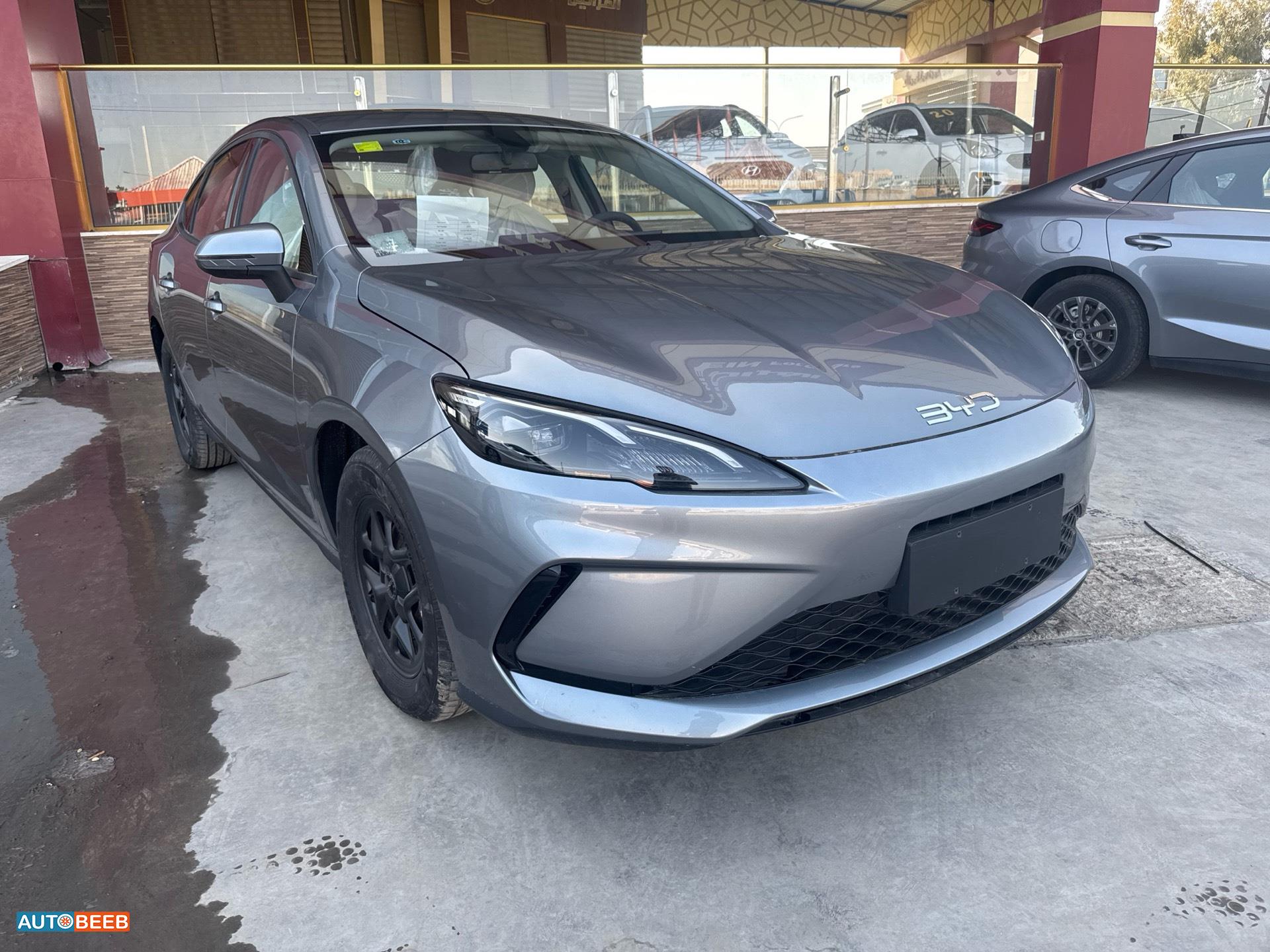 بي واي دي سيل 2025