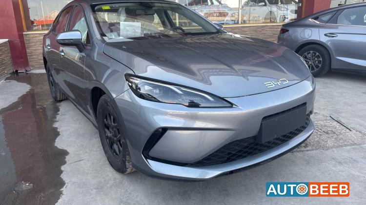 بي واي دي سيل 2025