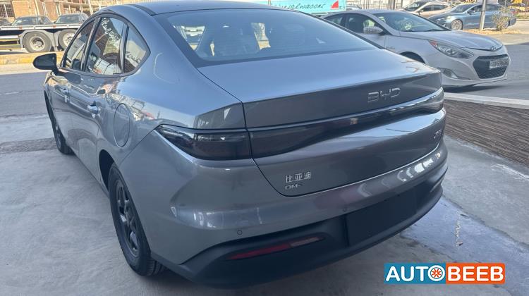 بي واي دي سيل 2025