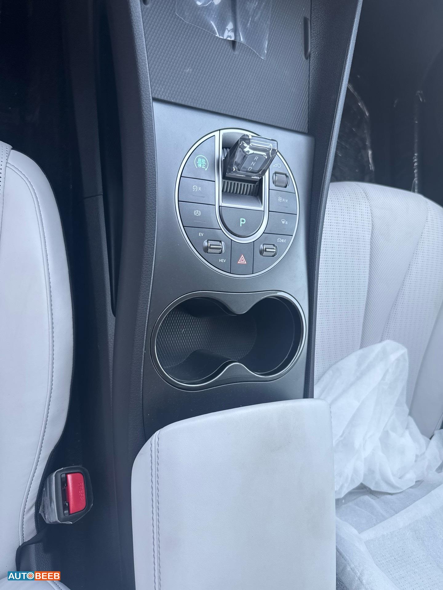 بي واي دي سيل 2025