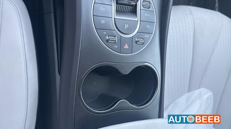 بي واي دي سيل 2025