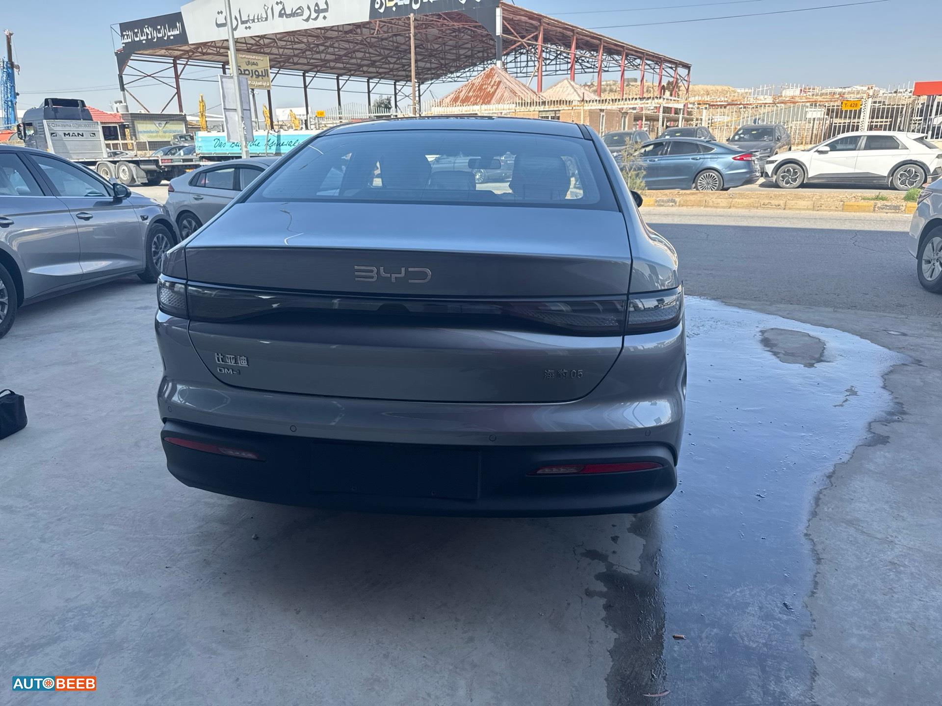 بي واي دي سيل 2025