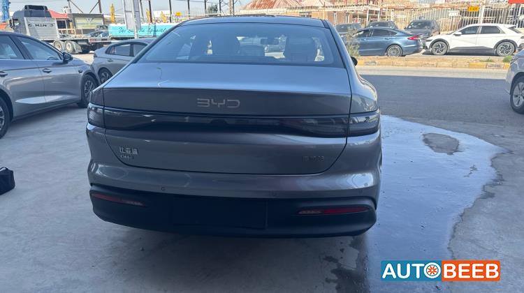 بي واي دي سيل 2025