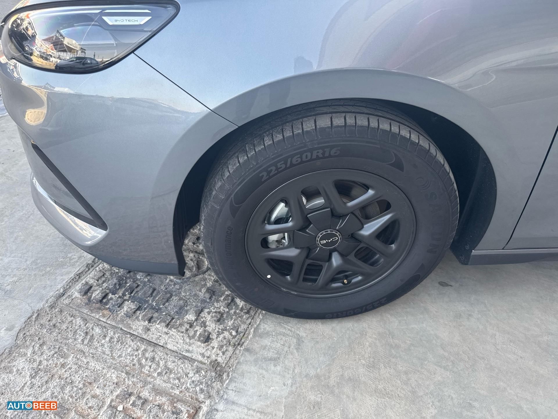 بي واي دي سيل 2025