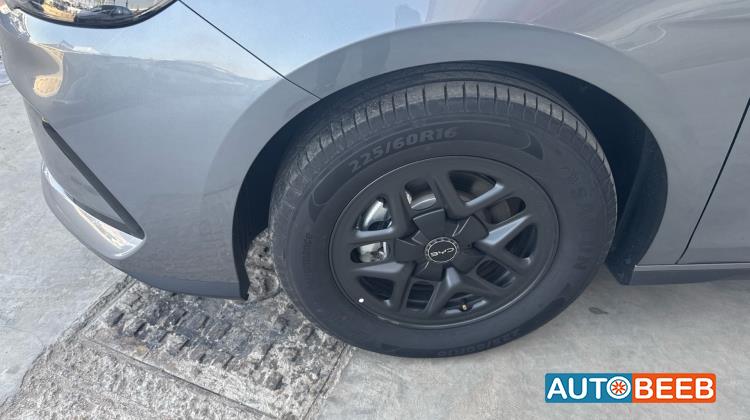 بي واي دي سيل 2025