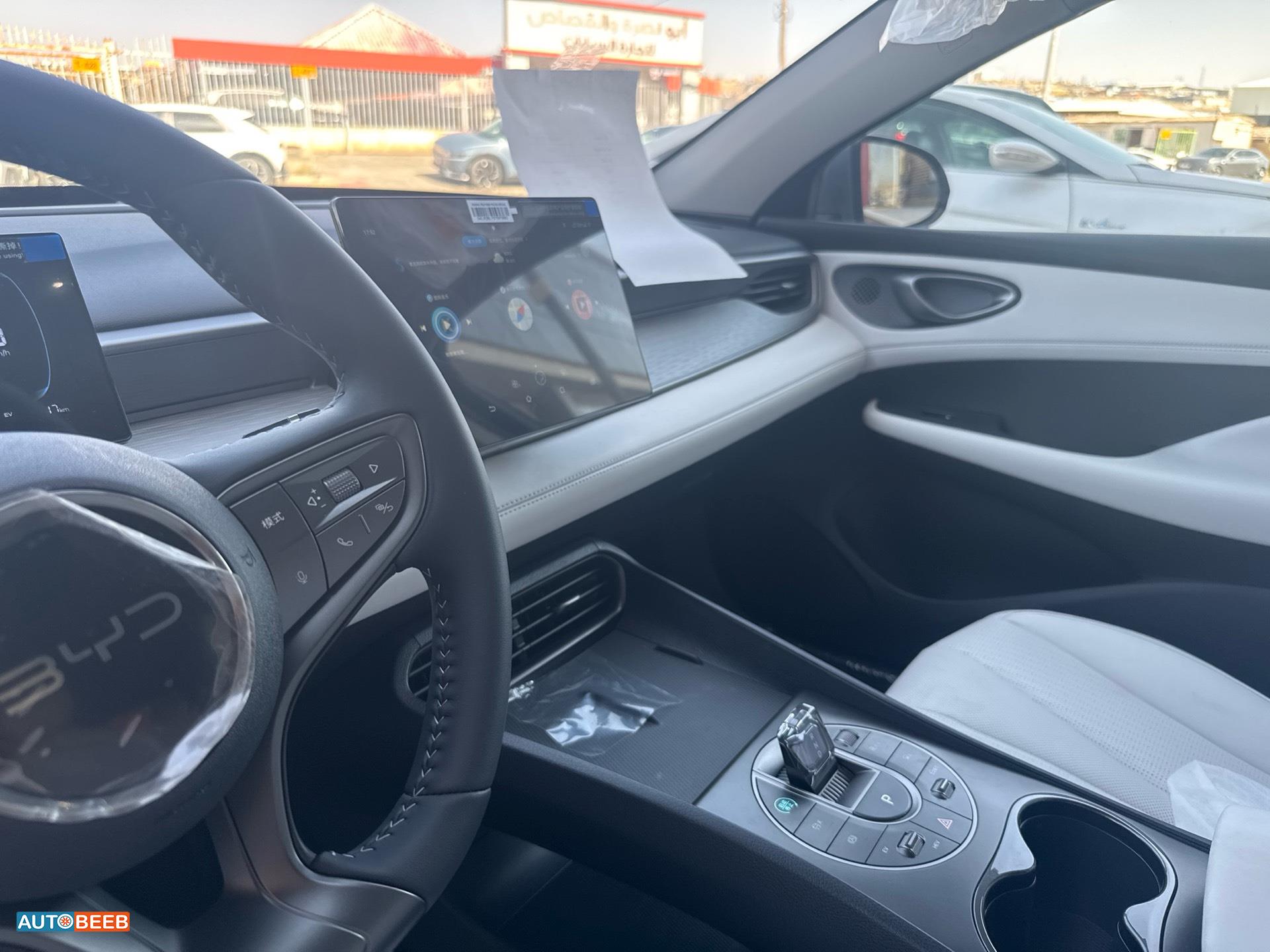 بي واي دي سيل 2025