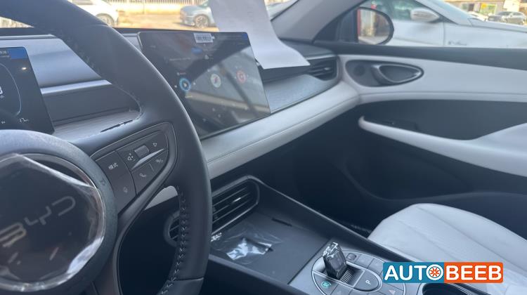 بي واي دي سيل 2025