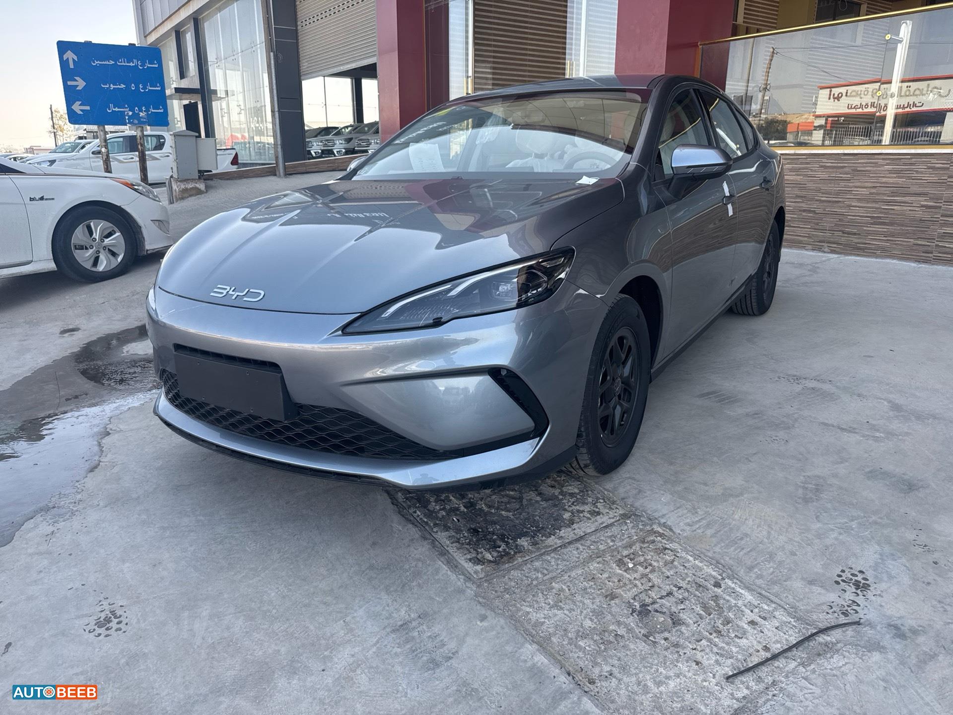 بي واي دي سيل 2025