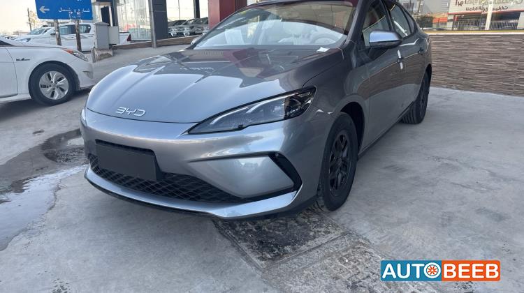 بي واي دي سيل 2025