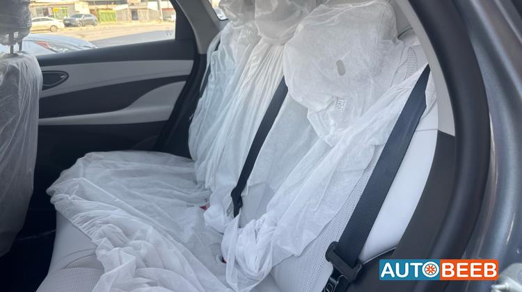 بي واي دي سيل 2025