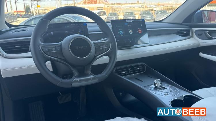 بي واي دي سيل 2025