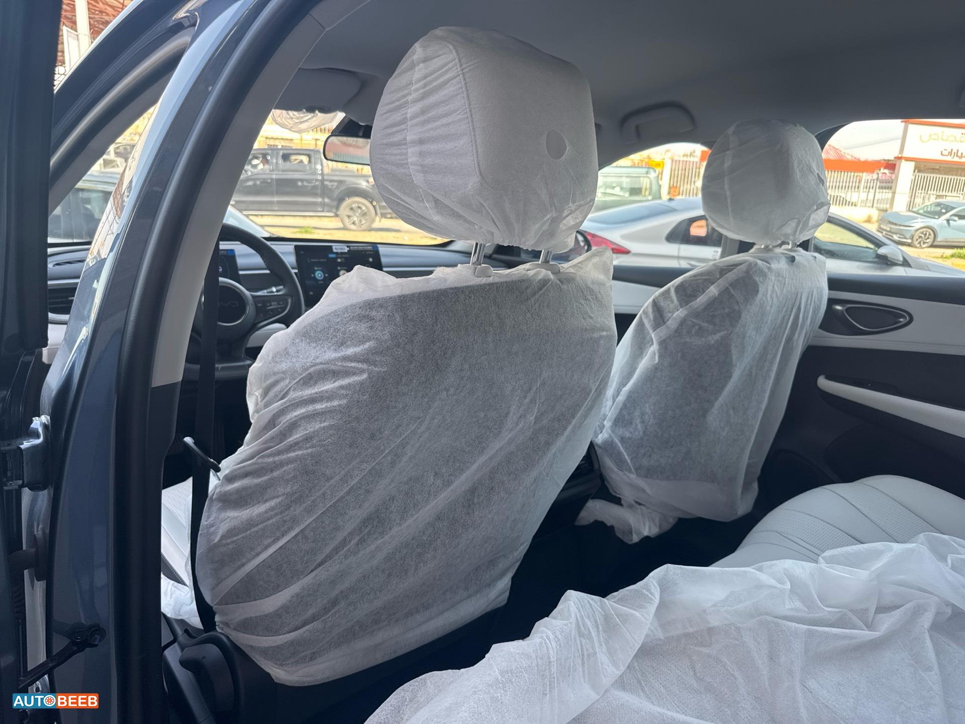 بي واي دي سيل 2025