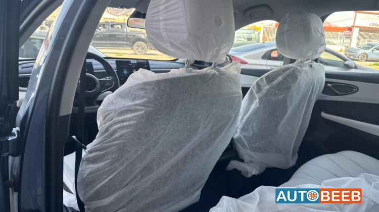 بي واي دي سيل 2025