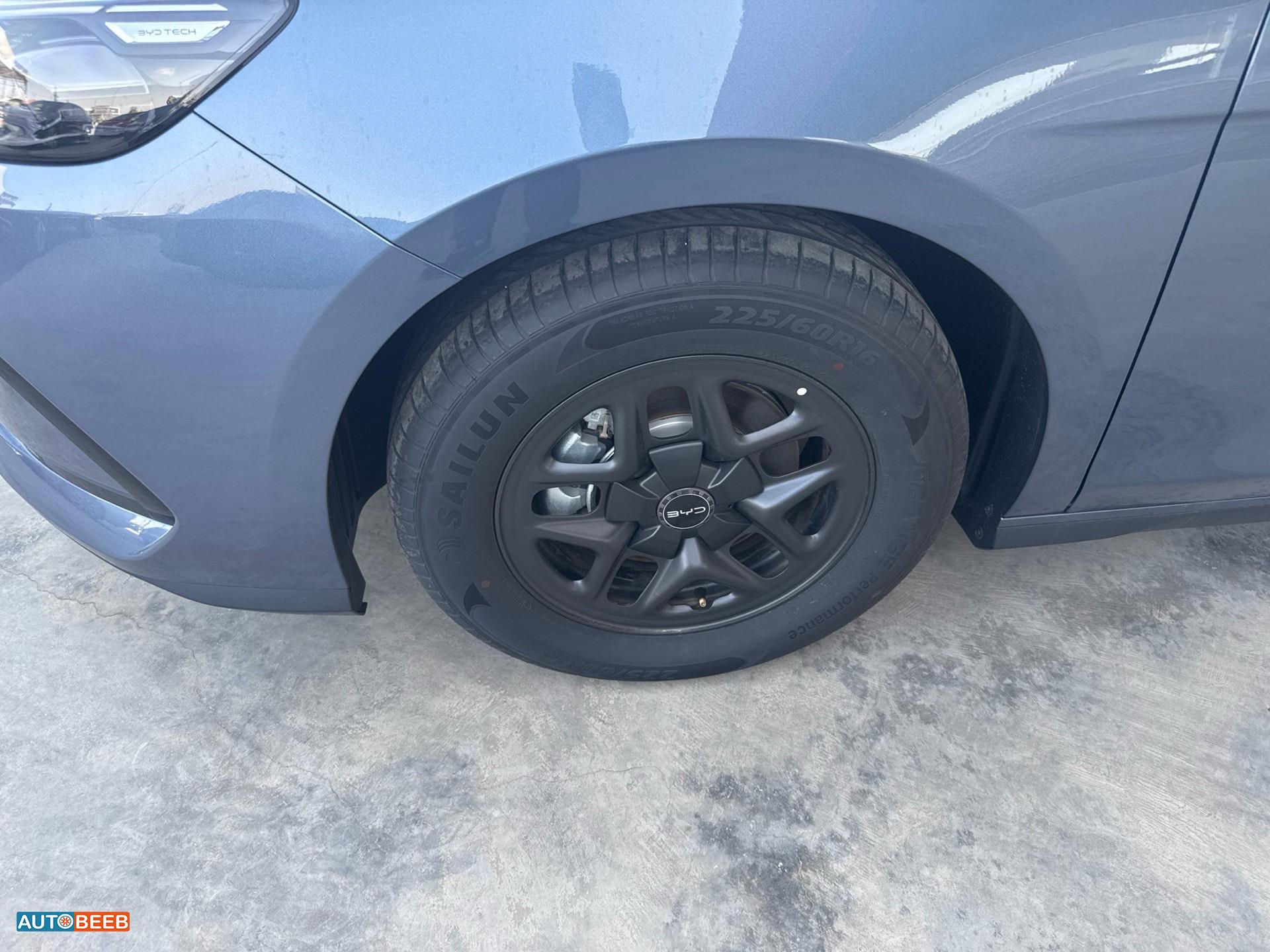 بي واي دي سيل 2025