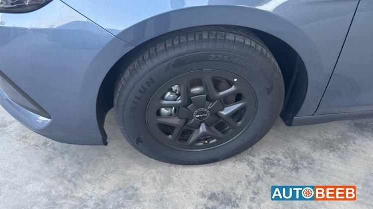 بي واي دي سيل 2025