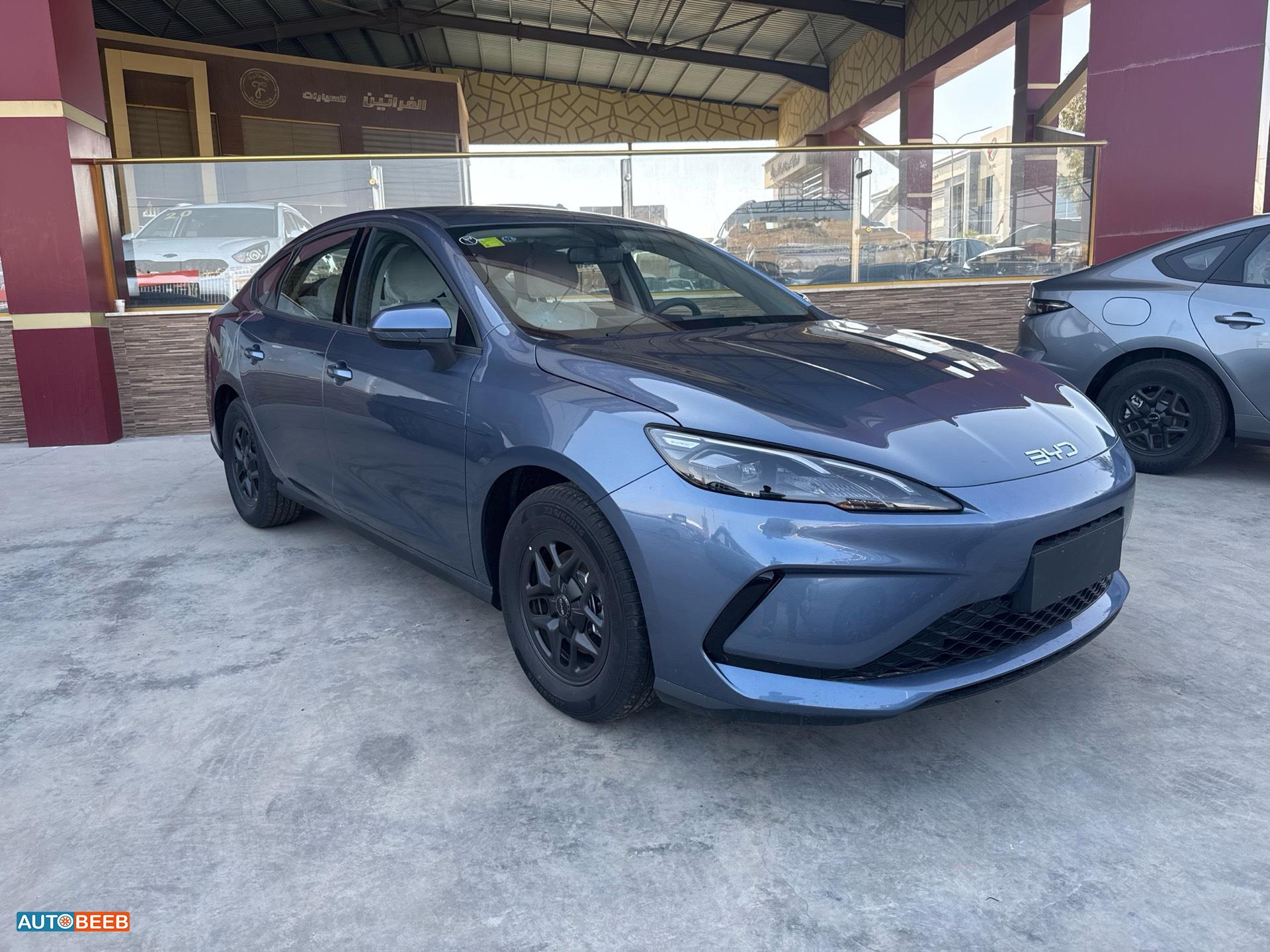 بي واي دي سيل 2025