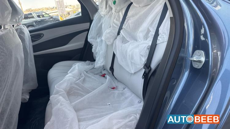 بي واي دي سيل 2025