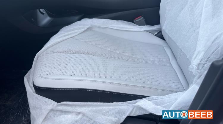 بي واي دي سيل 2025